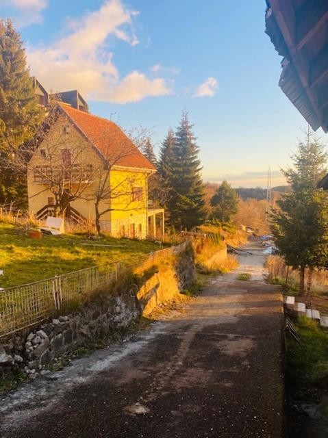 Petra Villa Kopaonik Bagian luar foto