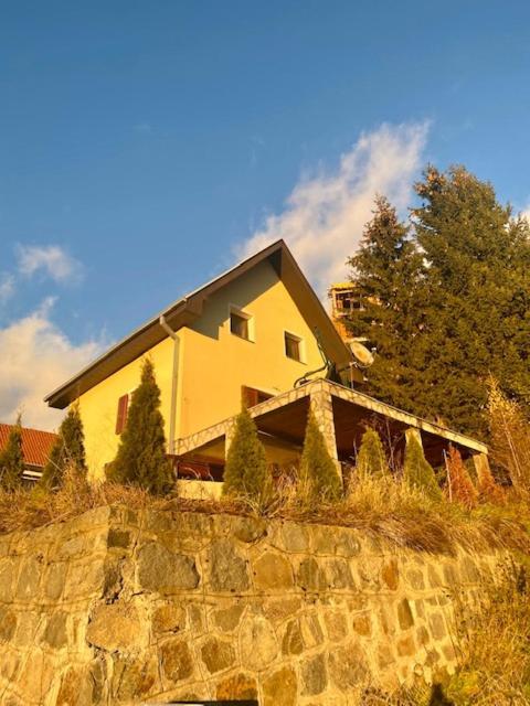 Petra Villa Kopaonik Bagian luar foto