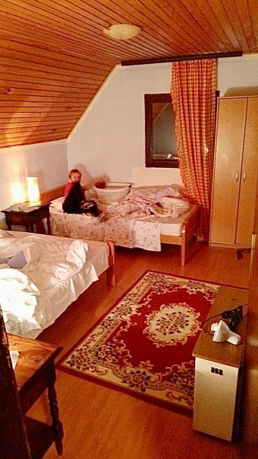 Petra Villa Kopaonik Bagian luar foto